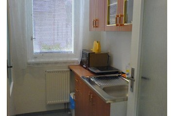 Pensiune familială Bystré 5